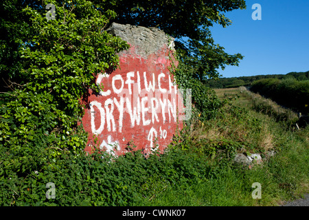 «Cofiwch Tryweryn Dryweryn' 'Remember' nationaliste gallois graffiti sur mur en bordure de l'A487 près de Ceredigion Llanrhystud Wales UK Banque D'Images