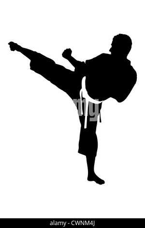 La silhouette d'un karate man exercising against white background Banque D'Images