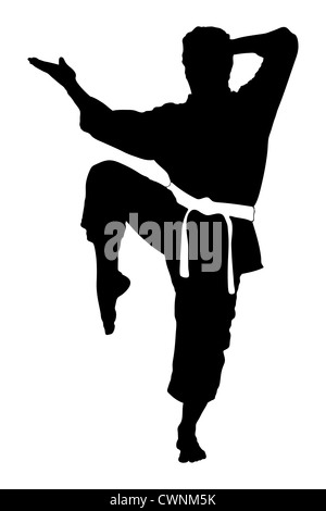 La silhouette d'un karate man exercising against white background Banque D'Images