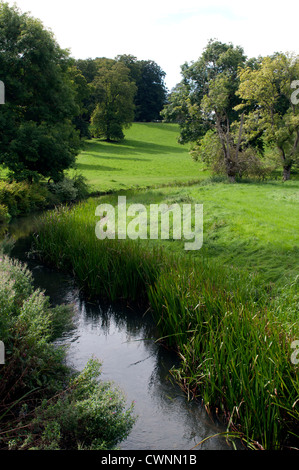 La rivière Coln St Aldwyns, Coln, Gloucestershire, Royaume-Uni Banque D'Images