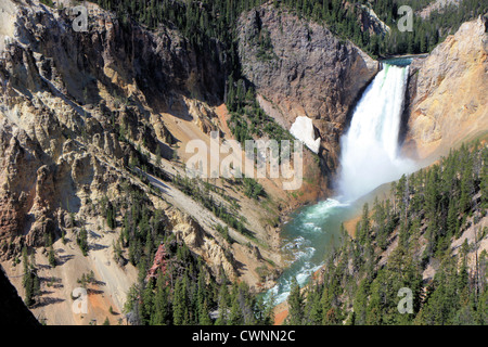 La Lower Falls dans le parc national de Yellowstone, Wyoming, USA Banque D'Images