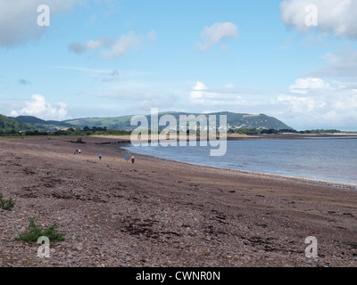 Dog walker sur plage de Blue Anchor avec minehead dans la distance. Le Somerset Banque D'Images