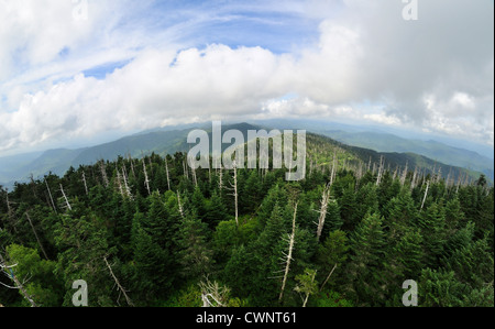 Large vue sur Clingmans Dome salon du parc national Great Smoky NC. Banque D'Images