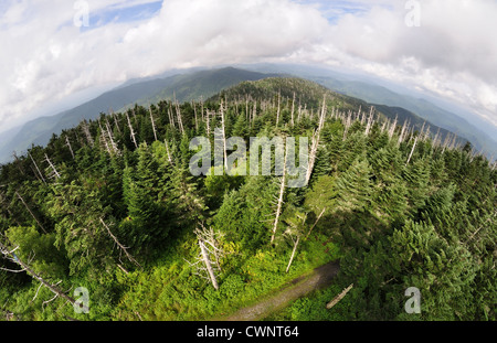 Large vue sur Clingmans Dome salon du parc national Great Smoky NC. Banque D'Images