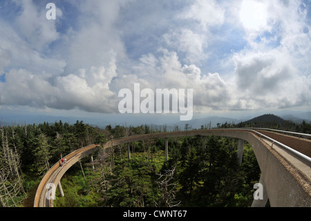 Large vue sur Clingmans Dome salon du parc national Great Smoky NC. Banque D'Images