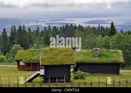 Sod roofs sur les bâtiments à Frogneseteren, près d'Oslo, Norvège Banque D'Images