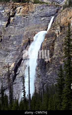 Au Canada Les chutes Takakkaw Falls de très haut d'une falaise pour les pins ci-dessous. À couper le souffle. Banque D'Images