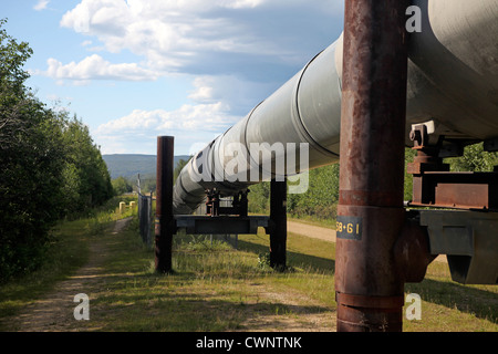 Une zone de l'oléoduc de l'Alaska en passant à travers une forêt par Fairbanks, Alaska. L'industrie, du commerce et de l'économie. Banque D'Images