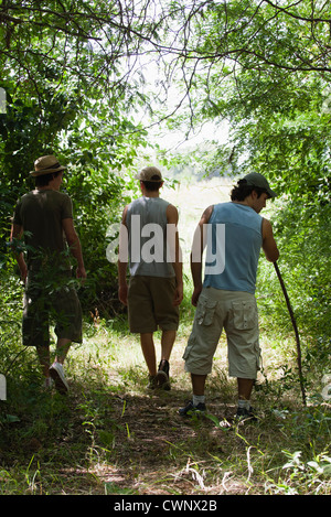 Les hommes de la randonnée dans les bois, vue arrière Banque D'Images
