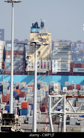 Vue d'ensemble des porte-conteneurs Maersk à quai occupé, Port de Rotterdam Banque D'Images