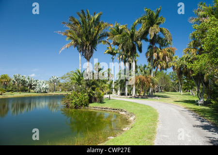 Chemin ROYAL PALM LAKE Fairchild Tropical Botanic Garden CORAL GABLES FLORIDA USA Banque D'Images