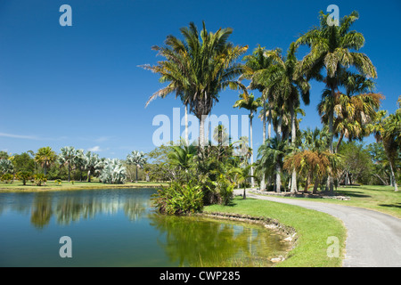 Chemin ROYAL PALM LAKE Fairchild Tropical Botanic Garden CORAL GABLES FLORIDA USA Banque D'Images