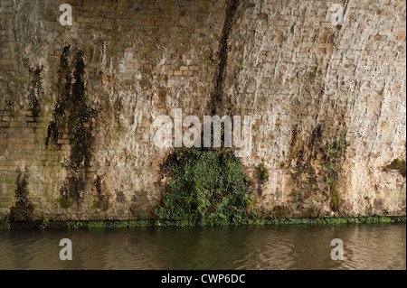 La pluie et les dommages causés par l'eau s'infiltre par brique victorienne pont de chemin de fer, laissant l'eau dure calcaire-échelle de la calcification Banque D'Images