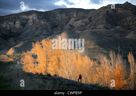 Alhama vallée, région viticole de Rioja, Biosfere réserver, La Rioja, Espagne, Europe Banque D'Images