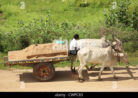 Agriculteur indien avec charrette Andhra Pradesh Inde du Sud Banque D'Images