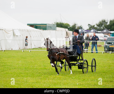 Un cheval et un chariot à l'Orsett Pays montrent en Essex Banque D'Images