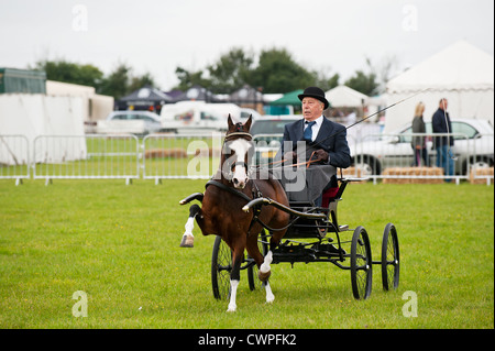 Un cheval et un chariot à l'Orsett Pays montrent en Essex Banque D'Images