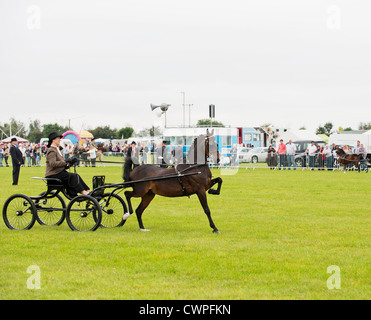 Un cheval et un chariot à l'Orsett Pays montrent en Essex Banque D'Images