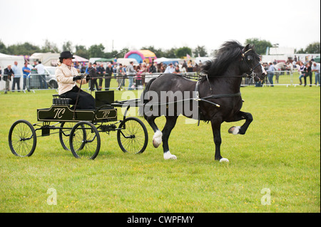 Un cheval et un chariot à l'Orsett Pays montrent en Essex Banque D'Images