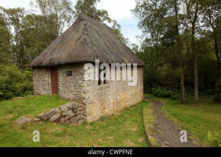 Toit de chaume, Cragside, Northumberland Royaume-uni Banque D'Images