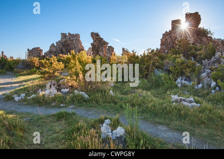 Belle vue sur les tours de tuf étrange de Mono Lake. Banque D'Images