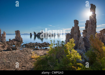 Belle vue sur les tours de tuf étrange de Mono Lake. Banque D'Images