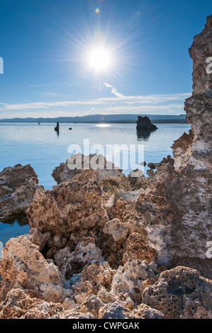 Belle vue sur les tours de tuf étrange de Mono Lake. Banque D'Images