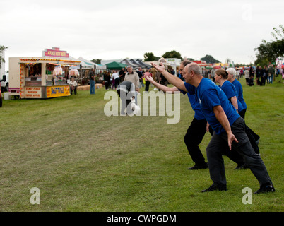 Démonstration de Tai chi au Orsett Show en Essex Banque D'Images