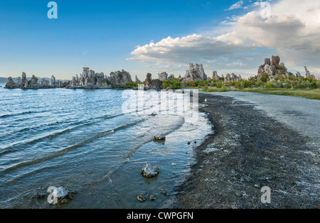 Belle vue sur les tours de tuf étrange de Mono Lake. Banque D'Images