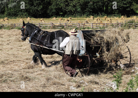 Premier homme cheval lourd dimensions machine faneuse Beamish Museum, Angleterre du Nord-Est, Royaume-Uni Banque D'Images