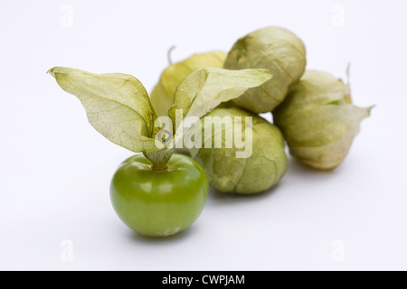 Physalis philadelphica. Tomatille fruit sur un fond blanc. Banque D'Images