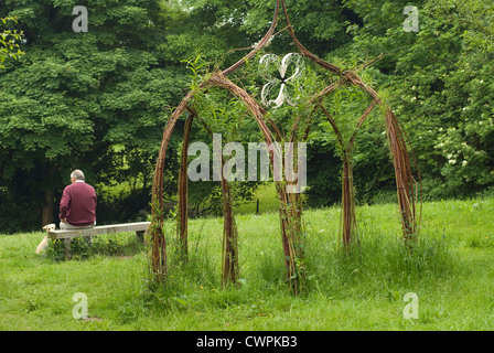 Salix, saule Banque D'Images