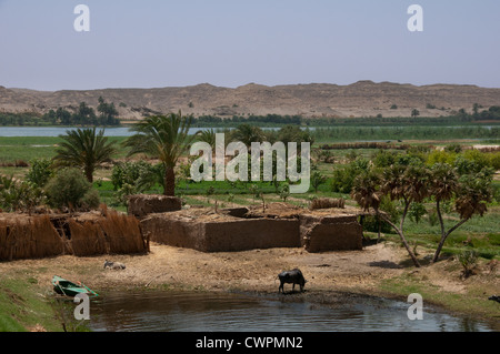 Les terres agricoles le long du Nil entre Louxor et Assouan Banque D'Images