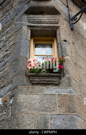 Des fleurs sur un rebord de fenêtre dans le centre historique de Roscoff, Bretagne, France Banque D'Images