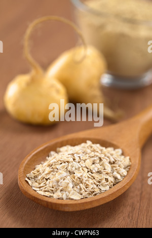 Gruau avec de la poudre de maca ou ginseng péruvien (lat. Le Lepidium meyenii) sur cuillère en bois avec des racines de maca en poudre maca et retour Banque D'Images