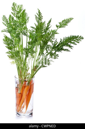 Les carottes avec feuilles debout dans un verre d'eau. Image sur fond blanc. Banque D'Images