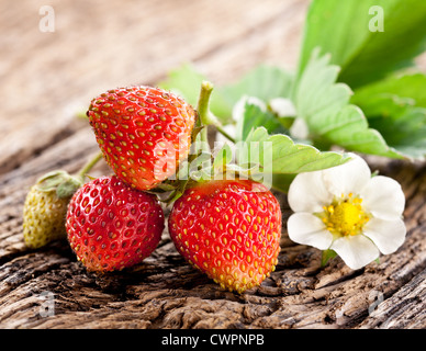 Les fraises avec des feuilles sur la vieille table en bois. Banque D'Images