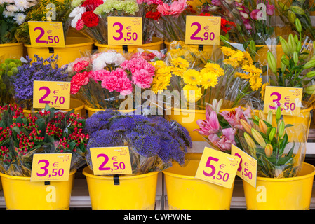 Affichage de fleurs fleuriste Banque D'Images