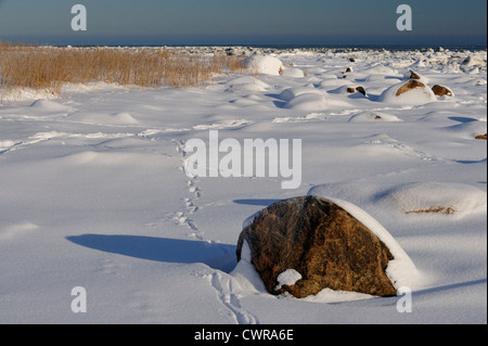 Rive de la Baie d'Hudson au début de l'hiver, Seal River Heritage Lodge, Churchill, Manitoba, Canada Banque D'Images