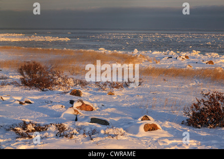 Rive de la Baie d'Hudson au début de l'hiver, Seal River Heritage Lodge, Churchill, Manitoba, Canada Banque D'Images