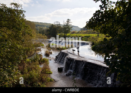 Femme marche avec chien à travers Warleigh Weir sur la rivière Avon Banque D'Images