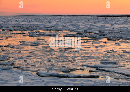 Coucher de soleil sur les basses terres de la Baie d'Hudson au début de l'hiver, Seal River Heritage Lodge, Churchill, Manitoba, Canada Banque D'Images