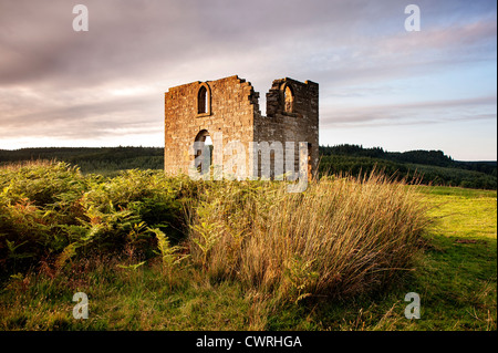 La ruine de Skelton dans Newtondale Tour surplombant le parc national des North Yorkshire Moors Banque D'Images