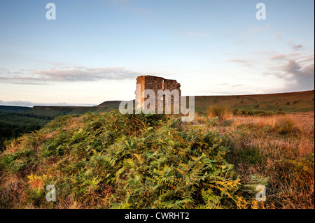 La ruine de Skelton dans Newtondale Tour surplombant le parc national des North Yorkshire Moors Banque D'Images