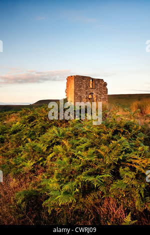 La ruine de Skelton dans Newtondale Tour surplombant le parc national des North Yorkshire Moors Banque D'Images