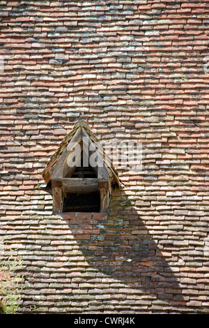 Pigeonier dans le toit d'un mur tour au Chateau de Fenelon, Dordogne, Aquitaine, France Banque D'Images