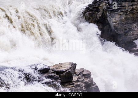 Les chutes Athabasca, dans le parc national Jasper, s'écoulent des glaciers du champ de glace Columbia. Banque D'Images