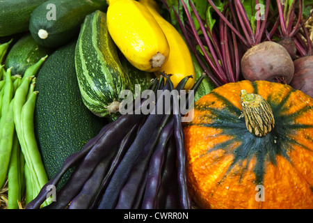 Une sélection de légumes cultivés et récoltés sur un allotissement Banque D'Images