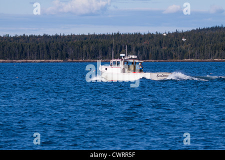 Bateau de pêche dans la baie à Bar Harbor sur Mount Desert Island dans le Maine. Banque D'Images