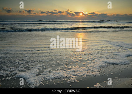 Plage de l'Atlantique à l'aube, Anastasia State Park, Saint Augustine, Floride, USA Banque D'Images